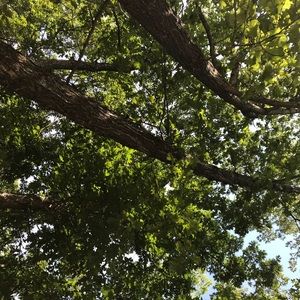 Meet your Posher, Corinna